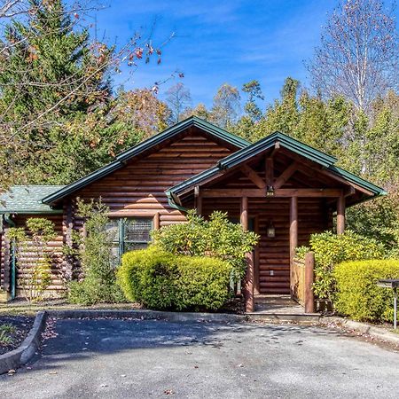 Dog Friendly, Romantic Mtn Getaway Hot Tub Pool Gatlinburg Exteriör bild