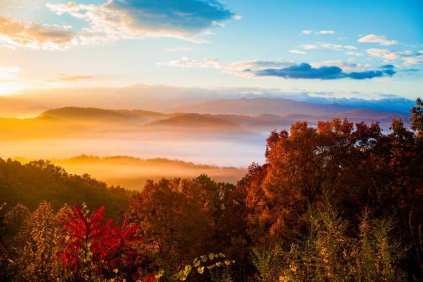 Dog Friendly, Romantic Mtn Getaway Hot Tub Pool Gatlinburg Exteriör bild