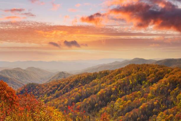 Dog Friendly, Romantic Mtn Getaway Hot Tub Pool Gatlinburg Exteriör bild